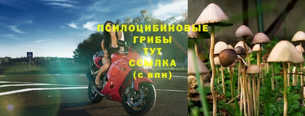 амф Арсеньев