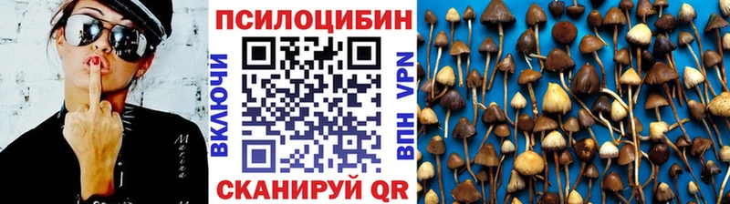 Галлюциногенные грибы Psilocybe  ссылка на мегу ссылки  Порхов 